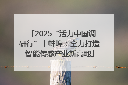 2025“活力中国调研行”丨蚌埠：全力打造智能传感产业新高地