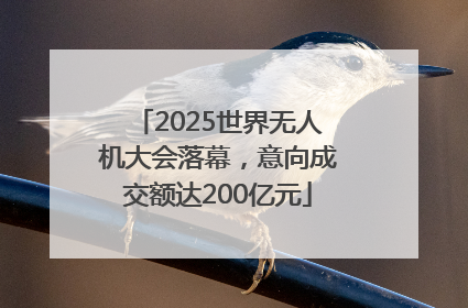 2025世界无人机大会落幕，意向成交额达200亿元