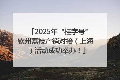 2025年“桂字号”钦州荔枝产销对接（上海）活动成功举办！