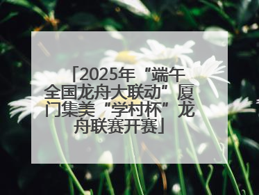 2025年“端午全国龙舟大联动”厦门集美“学村杯”龙舟联赛开赛