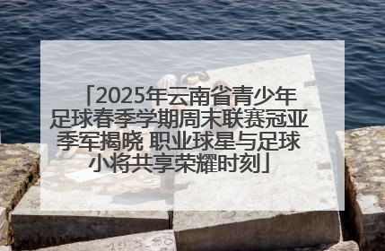 2025年云南省青少年足球春季学期周末联赛冠亚季军揭晓 职业球星与足球小将共享荣耀时刻