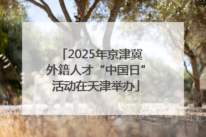 2025年京津冀外籍人才“中国日”活动在天津举办