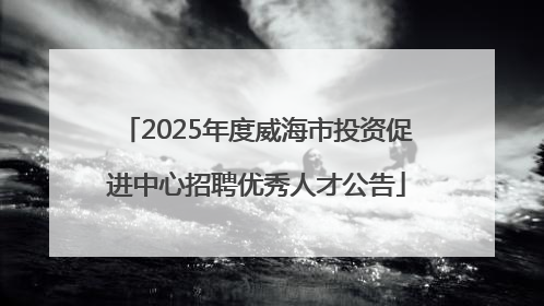 2025年度威海市投资促进中心招聘优秀人才公告