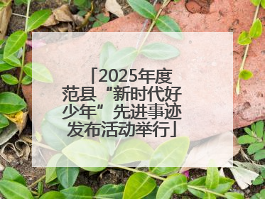 2025年度范县“新时代好少年”先进事迹发布活动举行
