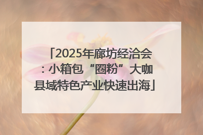 2025年廊坊经洽会：小箱包“圈粉”大咖 县域特色产业快速出海