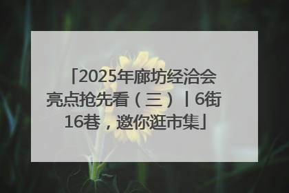 2025年廊坊经洽会亮点抢先看（三）丨6街16巷，邀你逛市集