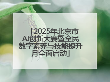 2025年北京市AI创新大赛暨全民数字素养与技能提升月全面启动