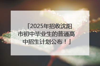 2025年招收沈阳市初中毕业生的普通高中招生计划公布！