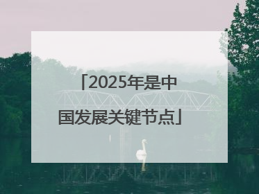 2025年是中国发展关键节点