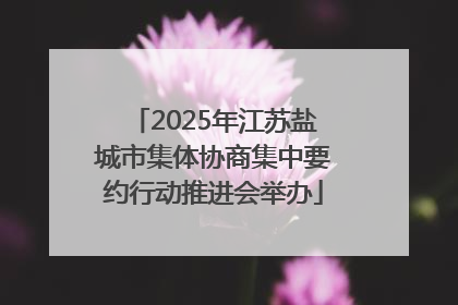 2025年江苏盐城市集体协商集中要约行动推进会举办