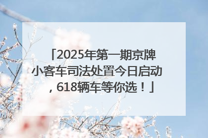 2025年第一期京牌小客车司法处置今日启动，618辆车等你选！