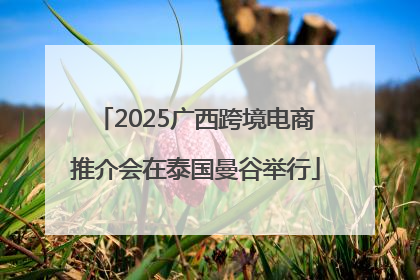 2025广西跨境电商推介会在泰国曼谷举行