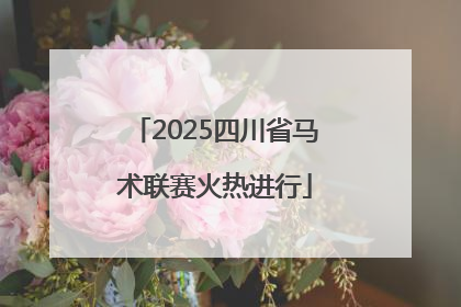 2025四川省马术联赛火热进行