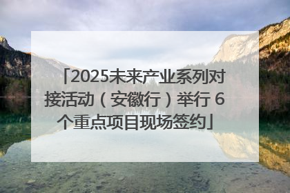 2025未来产业系列对接活动（安徽行）举行 6个重点项目现场签约