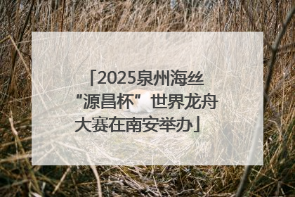 2025泉州海丝“源昌杯”世界龙舟大赛在南安举办
