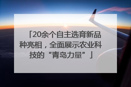 20余个自主选育新品种亮相，全面展示农业科技的“青岛力量”