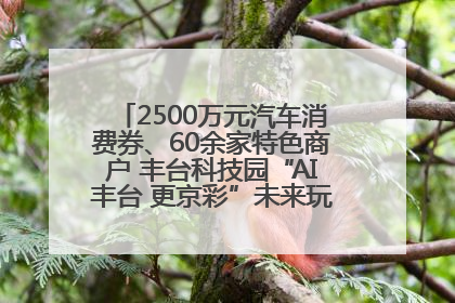 2500万元汽车消费券、60余家特色商户 丰台科技园“AI丰台 更京彩”未来玩家市集活动正式开幕