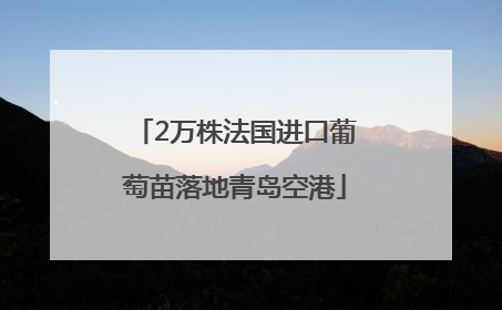 2万株法国进口葡萄苗落地青岛空港