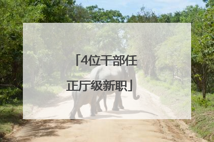 4位干部任正厅级新职