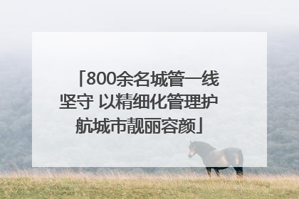 800余名城管一线坚守 以精细化管理护航城市靓丽容颜