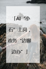 AI“小石”上岗，政务“边聊边办”