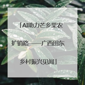 AI助力芒乡果农扩销路——广西田东乡村振兴见闻