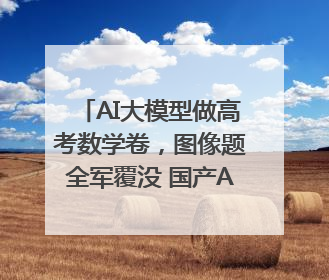 AI大模型做高考数学卷，图像题全军覆没 国产AI豆包和DeepSeek均得分144