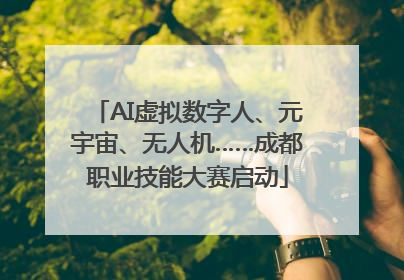 AI虚拟数字人、元宇宙、无人机……成都职业技能大赛启动