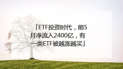 ETF投资时代，前5月净流入2400亿，有一类ETF被越涨越买