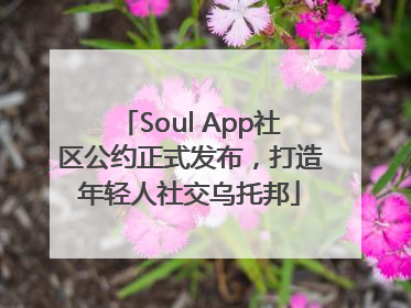 Soul App社区公约正式发布，打造年轻人社交乌托邦