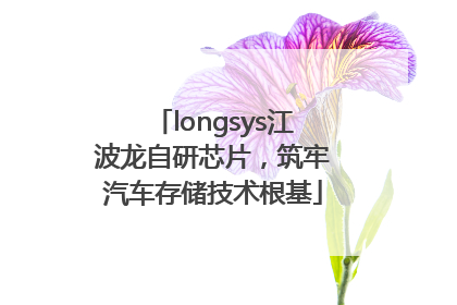 longsys江波龙自研芯片，筑牢汽车存储技术根基